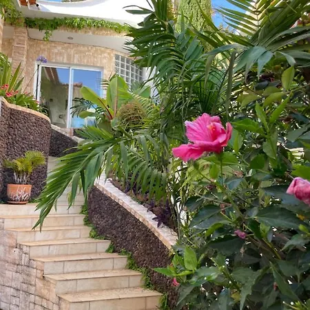 Villa Isabela - Car Rental For Free Canico  Exterior photo